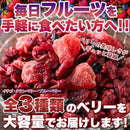 ミックスベリー 500g クランベリー いちご 苺 ストロベリー ブルーベリー ドライフルーツ 乾燥果実 お菓子作り グラノーラ 混ぜ ヨーグルト 【納期A】【sm00010880】