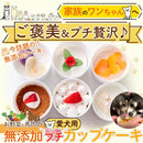 ドッグフード 犬 餌 エサ 誕生日 記念 お祝い ご褒美 無添加 愛犬 カップケーキ 保存料不使用 着色料 野菜 馬肉 さつまいも かぼちゃ 人参 【納期E】【sm00010882】