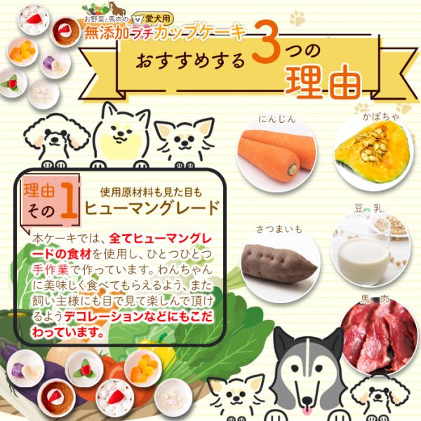 ドッグフード 犬 餌 エサ 誕生日 記念 お祝い ご褒美 無添加 愛犬 カップケーキ 保存料不使用 着色料 野菜 馬肉 さつまいも かぼちゃ 人参 【納期E】【sm00010882】