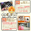 ドッグフード 犬 餌 エサ 誕生日 記念 お祝い ご褒美 無添加 愛犬 カップケーキ 保存料不使用 着色料 野菜 馬肉 さつまいも かぼちゃ 人参 【納期E】【sm00010882】