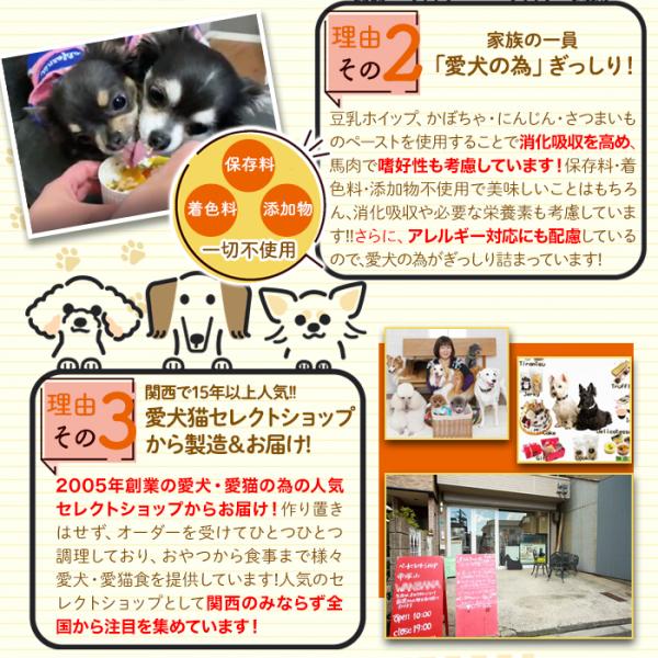 ドッグフード 犬 エサ 誕生日 無添加 保存料不使用 着色料 野菜