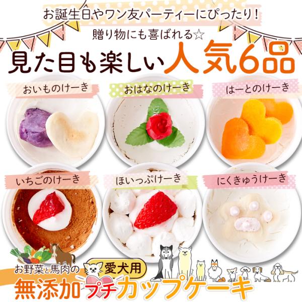 ドッグフード 犬 餌 エサ 誕生日 記念 お祝い ご褒美 無添加 愛犬 カップケーキ 保存料不使用 着色料 野菜 馬肉 さつまいも かぼちゃ 人参 【納期E】【sm00010882】