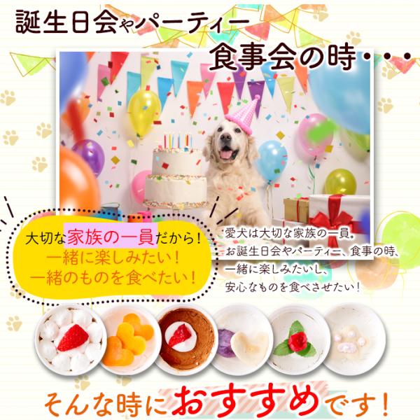 ドッグフード 犬 エサ 誕生日 無添加 保存料不使用 着色料 野菜