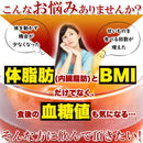 プーアル茶 黒プーアル茶 体脂肪 食後 血糖値 機能性表示食品 内臓脂肪 BMI ティーバッグ お茶 ティーパック 大容量 飲みやすい 中国茶 【納期E】【sm00010886】