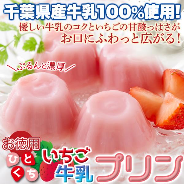 牛乳プリン いちごミルク 苺 イチゴ いちご牛乳プリン 大量 一口サイズ ひとくち ミニ 小さい 濃厚 千葉県産牛乳 国産 ミルクプリン 生菓子 【納期E】【sm00010891】