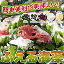 海藻 わかめ 増える 若布 ワカメ 糸寒天 かんてん 白きくらげ 木耳 青つのまた 赤 湯戻し不要 ザル不要 水に浸すだけ 時短 簡単 個包装 【納期E】【sm00010894】