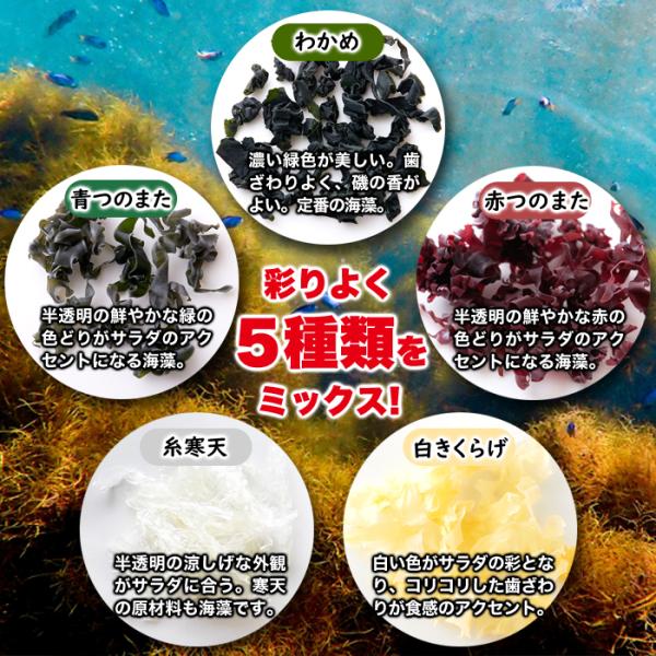 海藻 わかめ 増える 若布 ワカメ 糸寒天 かんてん 白きくらげ 木耳 青つのまた 赤 湯戻し不要 ザル不要 水に浸すだけ 時短 簡単 個包装 【納期E】【sm00010894】