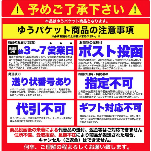 ビャンビャン麺 生麺 平麺 生めん 中華 びゃんびゃん麺 西安風 油麺 たれ ソース 豚ミンチ 4人前 美味しい 極太 インスタント ポスト投函 【納期E】【sm00011001】