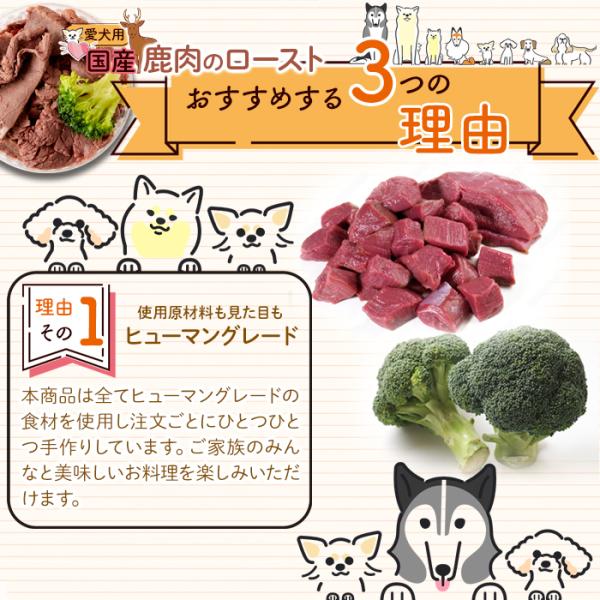 ドッグフード 犬 エサ 褒美 無添加 保存料 着色料 添加物不使用