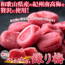 練り梅 南高梅 大容量 やわらか 和歌山県産 紀州南高梅 個包装 種なし 梅肉 梅ぼし 梅干し 紀州産 塩分補給 お茶請け 国産 りんごピューレ 【納期E】【sm00011006】