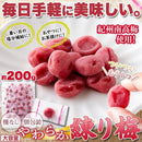 練り梅 南高梅 大容量 やわらか 和歌山県産 紀州南高梅 個包装 種なし 梅肉 梅ぼし 梅干し 紀州産 塩分補給 お茶請け 国産 りんごピューレ 【納期E】【sm00011006】