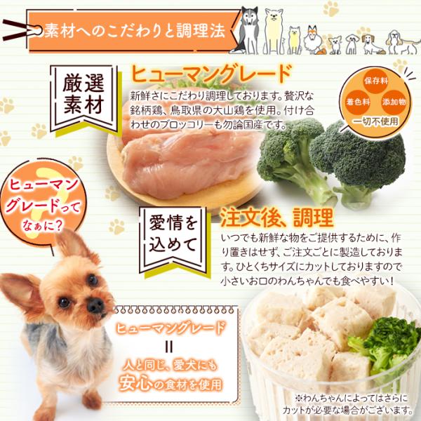 ドッグフード 犬 エサ 誕生日 無添加 鶏肉 保存料不使用 無着色