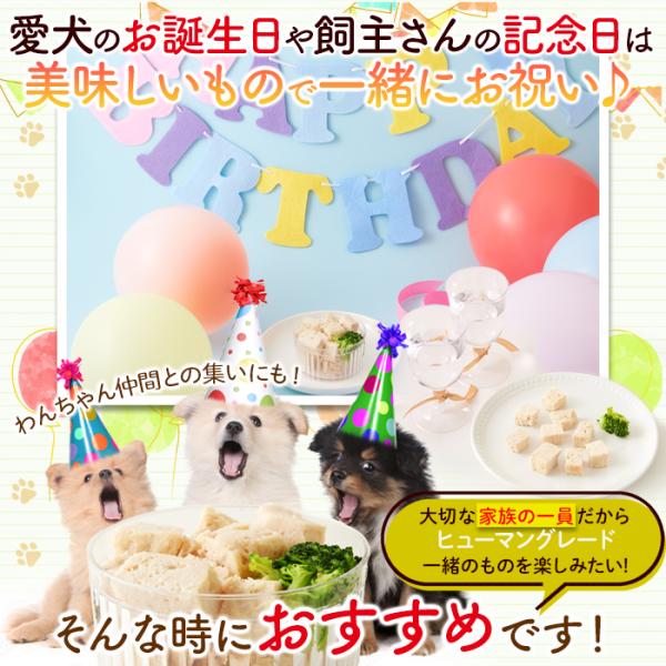 ドッグフード 犬 エサ 誕生日 無添加 鶏肉 保存料不使用 無着色