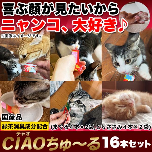 ciaoちゅ～る 猫 キャットフード チャオちゅーる ネコ 餌 いなば