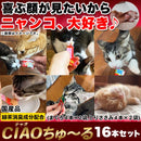 ciaoちゅ～る 猫 キャットフード チャオちゅーる ネコ ねこ 餌 おやつ ご褒美 まぐろ とりささみ 液状 国産 ペースト状 いなば ポスト投函 【納期E】【sm00011011】