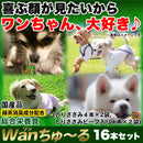 Wanちゅ～る 犬 ドッグフード ワンちゅーる イヌ エサ おやつ ご褒美 ドックフード ささみ ビーフ 液状 国産 ペースト いなば ポスト投函 【納期E】【sm00011012】