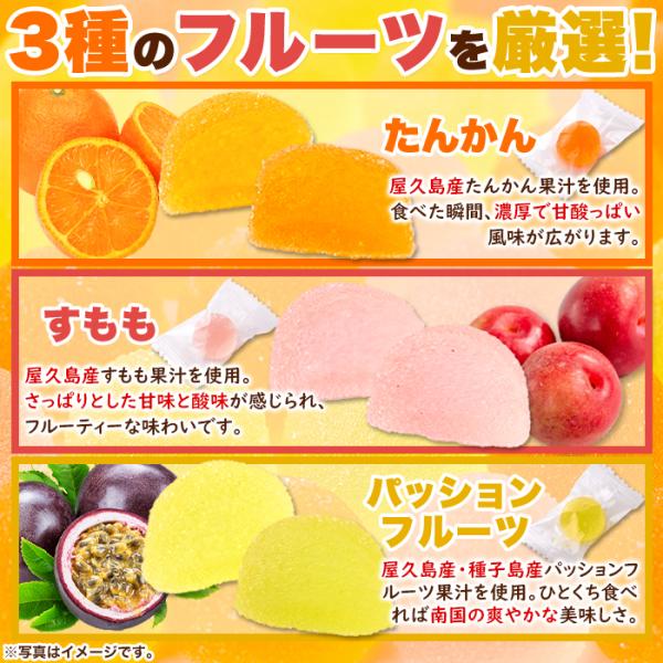 ペクチンゼリー パッションフルーツ たんかん すもも スモモ ゼリー 屋久島産フルーツ果汁 果実 甘酸っぱい 食物繊維 国内製造 李 個包装 【納期E】【sm00011050】