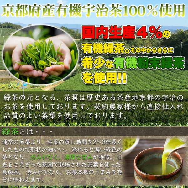 緑茶 パウダー 100g 粉末 有機 オーガニック 国産 宇治茶 茶葉