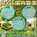 緑茶 パウダー 100g 粉末 有機 宇治 お茶 高級 オーガニック 国産 日本産 京都 宇治茶 茶葉 石臼挽き ラテ アイス ホット JAS HOAS15B-005 【納期A】【sm00011071】