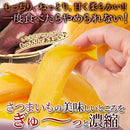 干し芋 国産 干しいも 紅はるか もっちり 甘い 柔らかい やわらかい 美味しい しっとり 蜜芋 平干し サツマイモ おやつ 半生 九州産 100g 【納期A】【sm00011091】