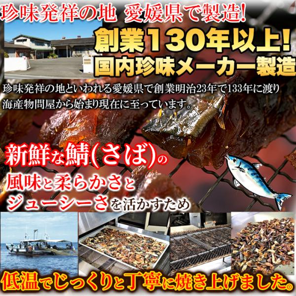 焼さばジャーキー 焼き鯖ジャーキー サバジャーキー おつまみ おやつ 魚 肴 濃いめ 甘め 味 美味しい 珍味 低温 タンパク質 EPA DHA 鉄分 【納期E】【sm00011133】