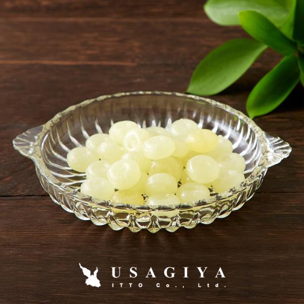 マンゴーキャンディ 宮崎 アメ 飴 宮崎マンゴー キャンディ マンゴーピューレ 個包装 大容量 着色料不使用 国内製造 トロピカル フルーツ 【納期E】【sm00011140】