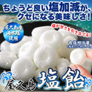 塩飴 250g キャンディー 塩 アメ ソルト キャンディ 塩分補給 糖分補給 水飴 屋久島 海水塩 部活 スポーツ 運動 熱中症対策 猛暑 野外活動 【納期E】【sm00011141】