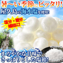 塩飴 250g キャンディー 塩 アメ ソルト キャンディ 塩分補給 糖分補給 水飴 屋久島 海水塩 部活 スポーツ 運動 熱中症対策 猛暑 野外活動 【納期E】【sm00011141】