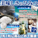 塩飴 250g キャンディー 塩 アメ ソルト キャンディ 塩分補給 糖分補給 水飴 屋久島 海水塩 部活 スポーツ 運動 熱中症対策 猛暑 野外活動 【納期E】【sm00011141】