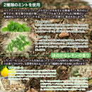 ミントティー ミント ハーバルブレンドティー お茶 有機スペアミント ペパーミント レモンピール レモンマートル ティーバッグ パック 大量 【納期E】【sm00011143】