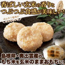 玄米もち 杵つき 塩味 おもち 餅 もち米 玄米 国産 真空パック 島根県産 奥出雲 大容量 600g そのまま 食べれる アレンジ 【納期E】【sm00011199】