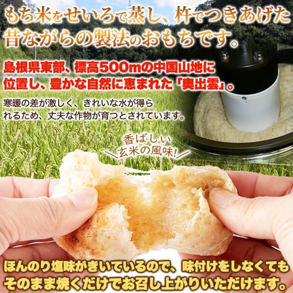玄米もち 杵つき 塩味 おもち 餅 もち米 玄米 国産 真空パック 島根県産 奥出雲 大容量 600g そのまま 食べれる アレンジ 【納期E】【sm00011199】