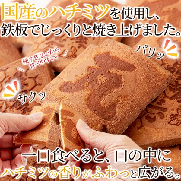 瓦せんべい 瓦煎餅 蜂蜜入り はちみつ ハチミツ 国産 素朴な シンプル 美味しい おやつ お菓子 和菓子 せんべい 煎餅 上白糖 個包装 小分け 【納期E】【sm00011214】