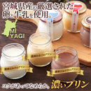 プリン ギフト 濃い目 濃い味 濃厚 プリンカップ チョコレート ショコラ カカオ たまごプリン 卵プリン ミルクプリン 牛乳 国産 6個セット 【納期E】【sm00011230】