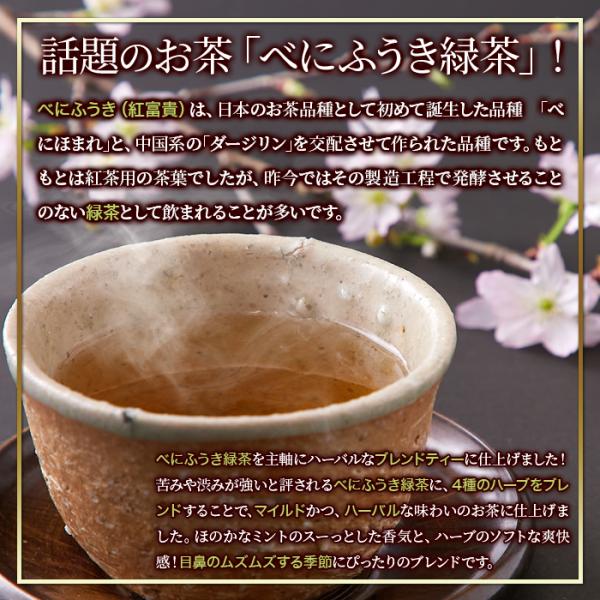 べにふうき茶 ティーバック パック べにふうき 茶 ブレンド 有機