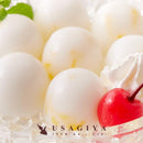 ゼリー 詰め合わせ 大容量 練乳風味 果肉 つぶつぶ ミカン パイン みかん 蜜柑 パイナップル フルーツ  一口サイズ ひとくち プチ おやつ 【納期E】【sm00011235】