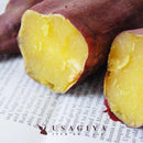 冷やし焼き芋 冷たい 焼き芋 やきいも セット 紅あずま 由栗いも 北海道産 べにまさり 紅はるか 島津甘藷 宮崎県産 熟成 スイーツ おやつ 【納期E】【sm00011249】