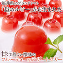 トマトゼリー ギフト デザートゼリー ゼリー トマト フルーティー 福井県 ブランドトマト 越のルビー トマトジュース使用 おやつ 贈り物 【納期E】【sm00011259】