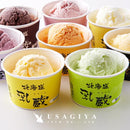 アイスクリーム バニラ 赤肉メロン 青肉 ストロベリー 苺 いちご ハスカップ クリームチーズ チョコレート 北海道 乳蔵 ちちぐら アイス 【納期E】【sm00011281】