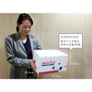 宅配ボックス 戸建 おしゃれ 後付け 宅配BOX 宅配ポスト ヨーロピアン 北欧風 置き型 郵便受け 【納期B】【sms-dbox875r】