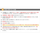 宅配ボックス 戸建 おしゃれ 後付け 宅配BOX 宅配ポスト ヨーロピアン 北欧風 置き型 郵便受け 【納期B】【sms-dbox875r】