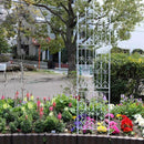 アイアンフェンス ハイタイプ ホワイト おしゃれ ガーデニング 庭 自立式 アンティーク 白 アイアン フェンス 外構 DIY 柵 バラ ツタ植物 【納期B】【sms-df010h-2p】