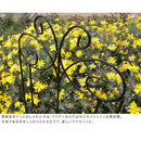 アイアンフェンス フェンス 埋め込み 蝶 蝶々 チョウ 差し込み 仕切り ガーデニング 庭 園芸 【納期B】【sms-if-bf100-2p】