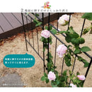 アイアンフェンス フェンス 指すだけ 仕切り ガーデニング 庭 園芸 おしゃれ 装飾 エクステリア 玄関 土中 埋め込み 差し込み 庭先 ヨーロピアン 北欧 【納期B】【sms-if-dr027-3p】