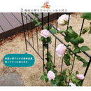 アイアンフェンス フェンス 設置 簡単 DIY 指すだけ 仕切り ガーデニング 庭 園芸 おしゃれ 玄関 土中 埋め込み 差し込み ヨーロピアン 北欧 装飾 エクステリア 【納期B】【sms-if-dr028-2p】