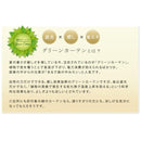 グリーンカーテン用フェンス アイアン 立て掛け ベランダ テラス 庭 軒先 【納期B】【sms-if-gc011blk】