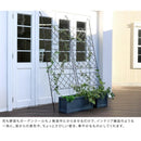 グリーンカーテン用フェンス アイアン 立て掛け ベランダ テラス 庭 軒先 【納期B】【sms-if-gc011blk】