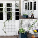 アイアン製グリーンカーテン