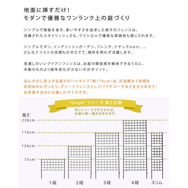 アイアンフェンス 仕切り シンプル ガーデニング 庭 園芸 おしゃれ 装飾 玄関 埋め込み 差し込み 【納期B】【sms-if-gr023-1p】