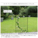 アイアンフェンス 仕切り シンプル ガーデニング 庭 園芸 おしゃれ 装飾 玄関 埋め込み 差し込み 【納期B】【sms-if-gr023-1p】